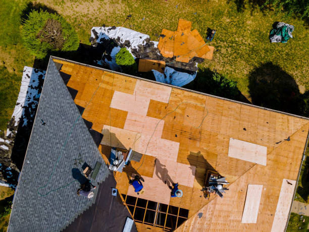 Best Roof Leak Repair  in Forest Oaks, NC