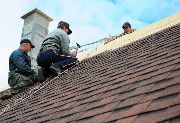 Best Roof Gutter Cleaning  in Forest Oaks, NC
